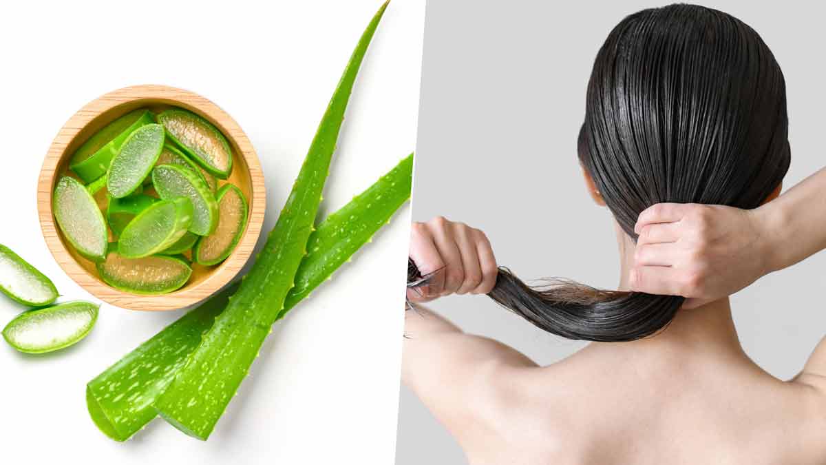 Fortrolig hvordan Diverse Aloe Vera For Hair Growth | Aloe Vera For Hair Benefits | Aloe Vera Gel |  HerZindagi