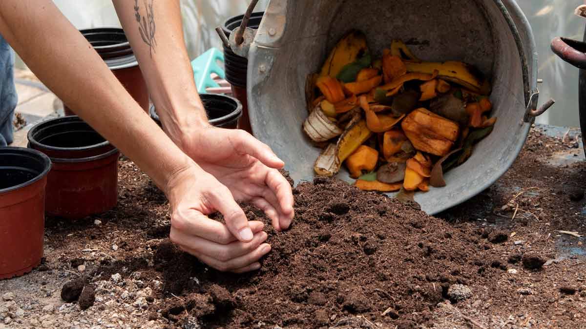 How To Make Cold Compost At Home खाद बनाने की विधि Cold Composting