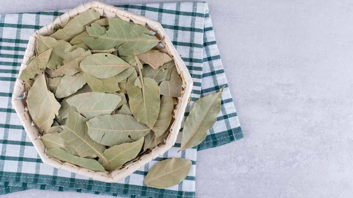 bay leaves for mosquitoes