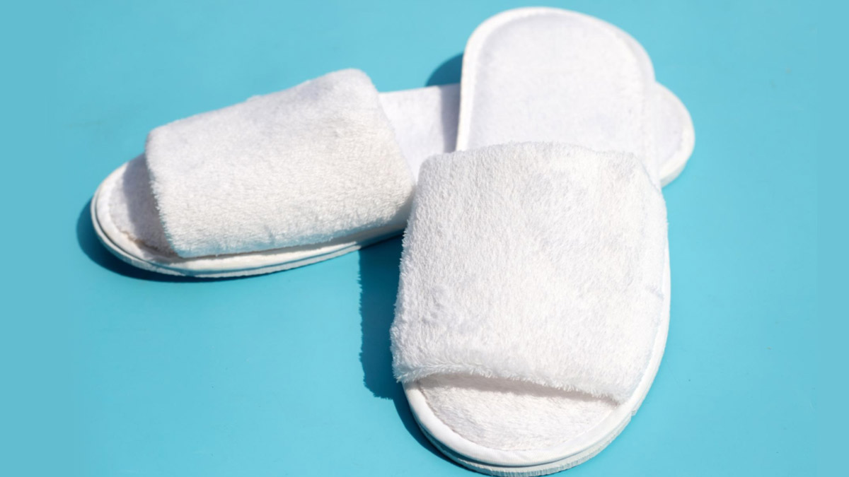 bedroom slipper