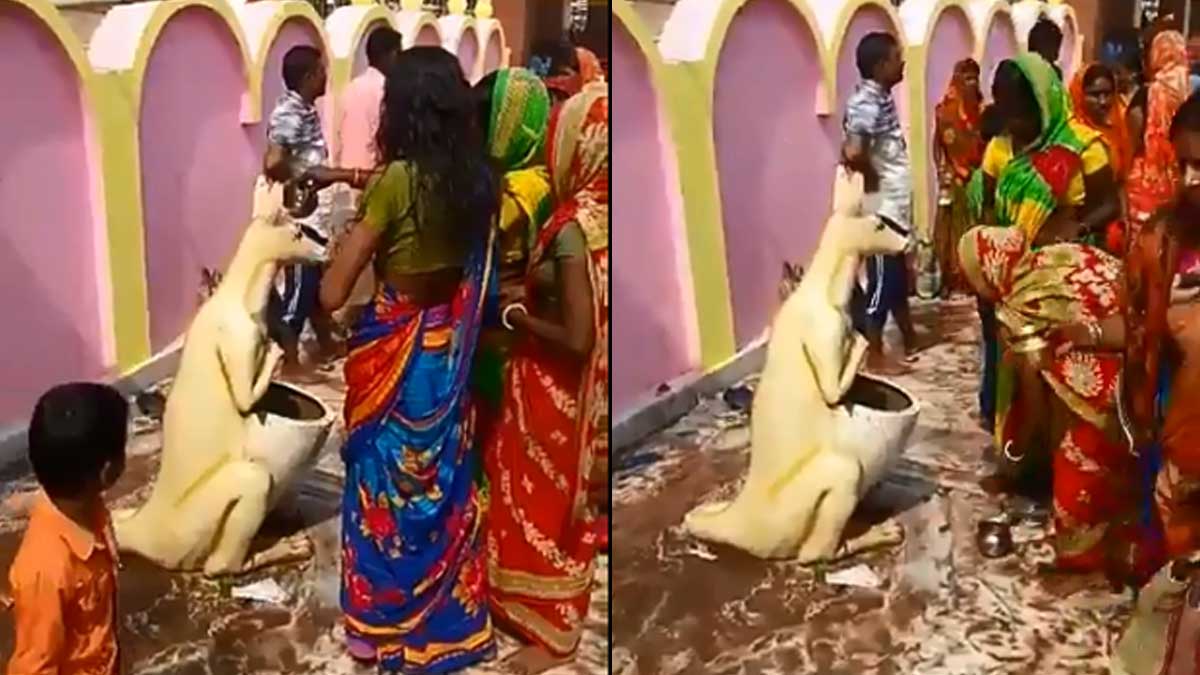 bizarre acts viral on social media