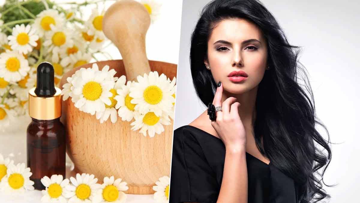 chamomile oil for hair care