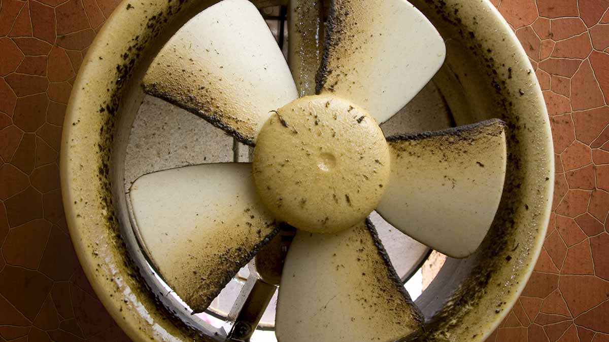 cleaning exhaust fan blade hindi