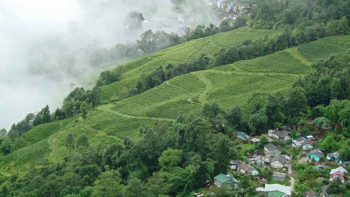 Darjeeling darjeeling history