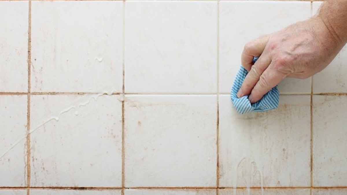 different uses of old kitchen scrubber insidE 