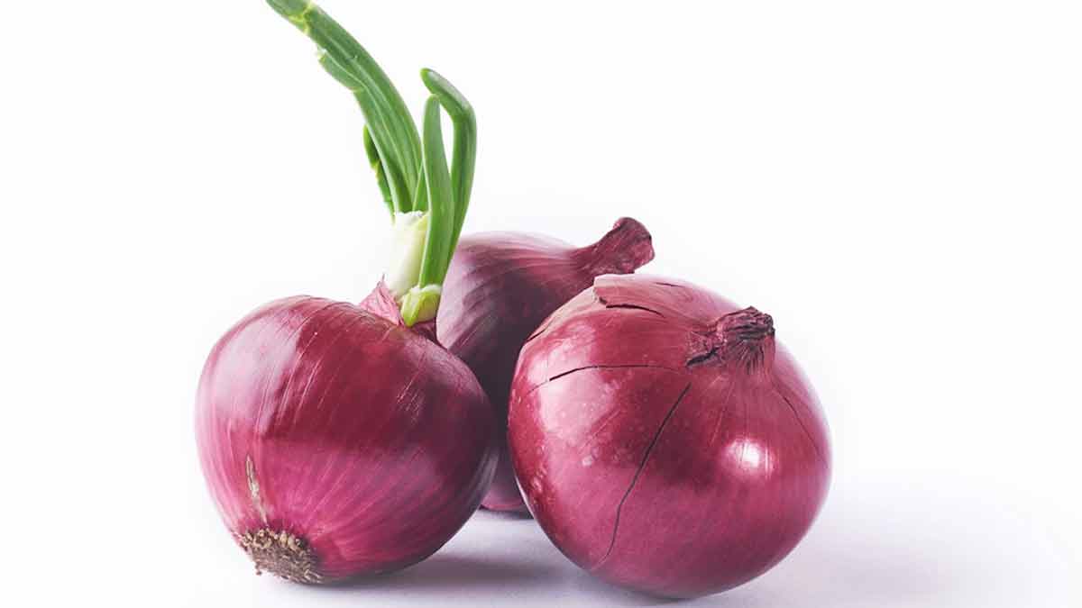 different ways to grow onion at home