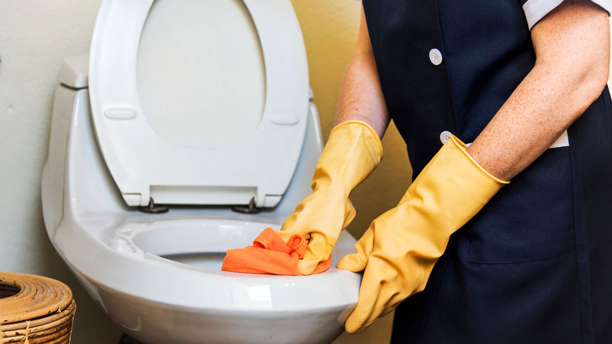 diy toilet bowel cleaning hacks