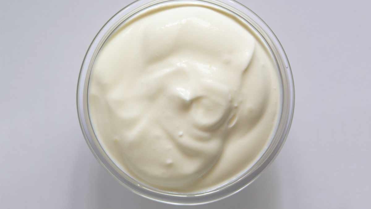 eggless mayo at home