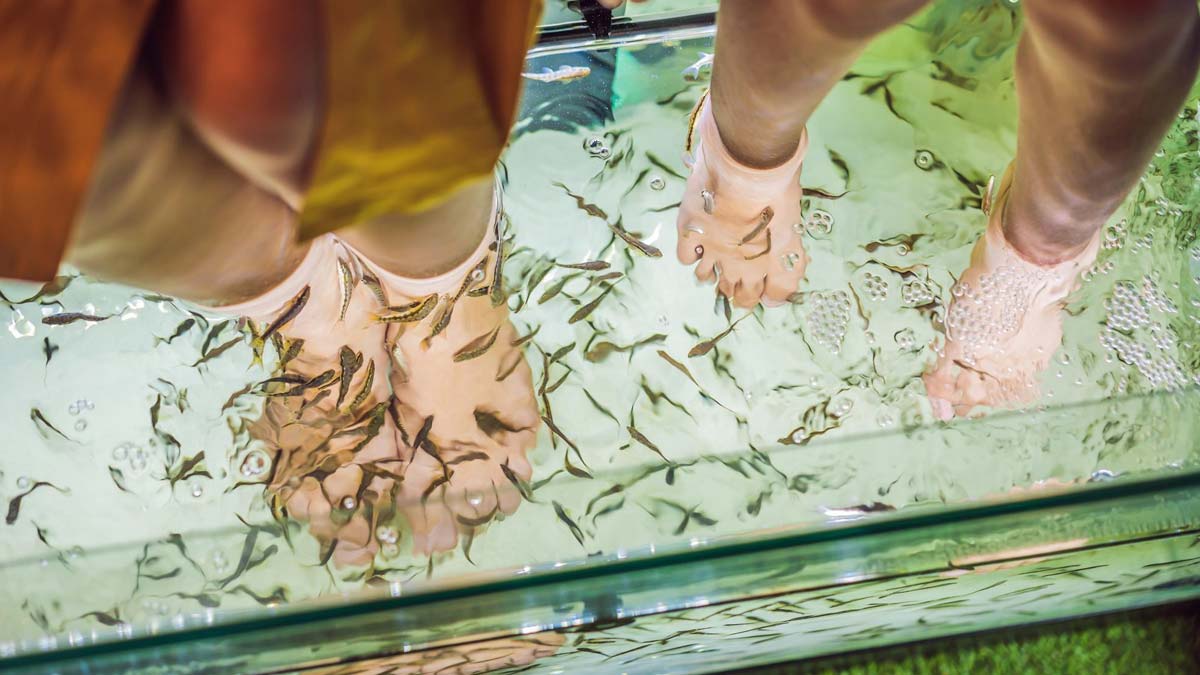 Fish pedicure Fish Pedicure Benefits Fish Pedicure Risks HerZindagi