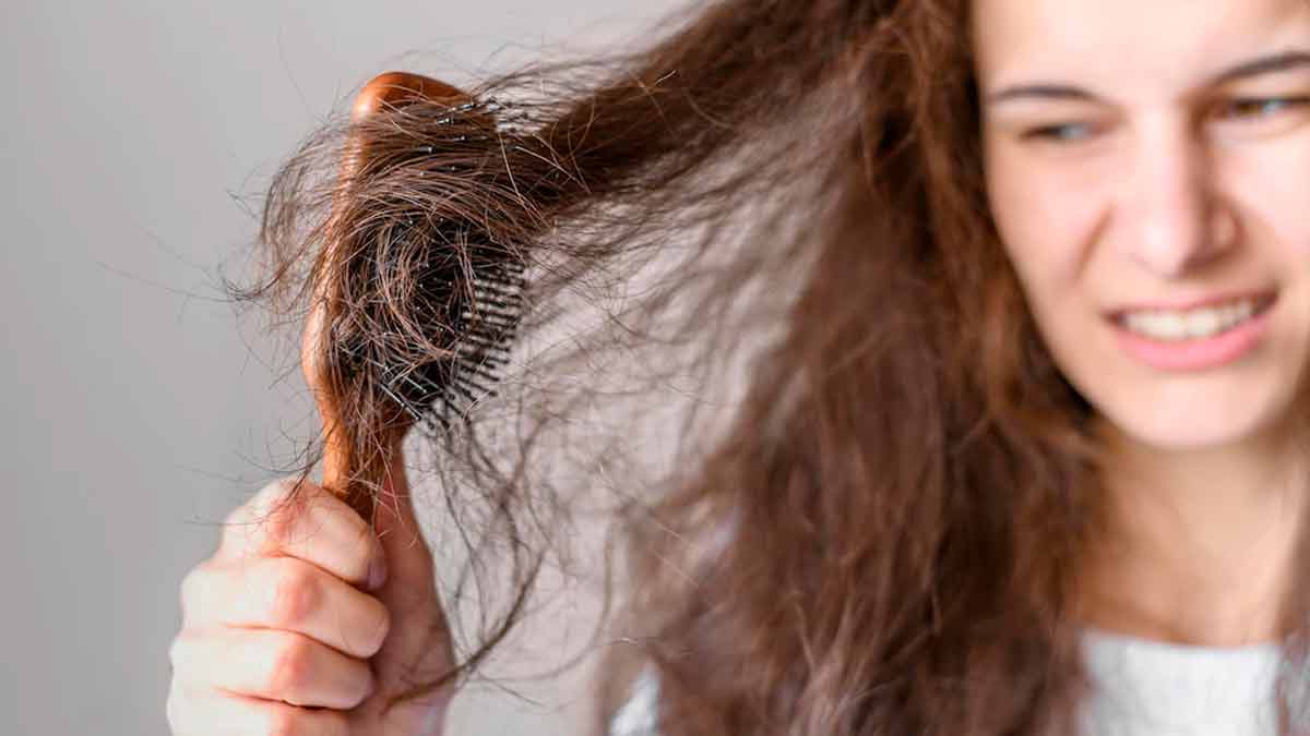 frizz free hair