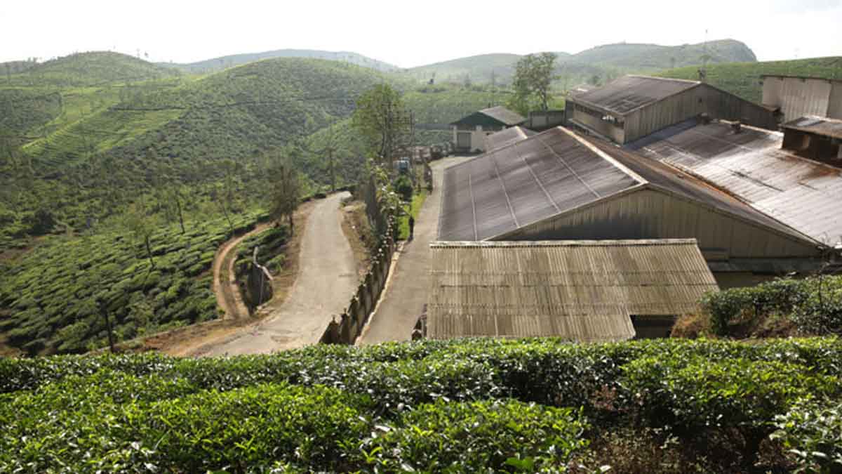 hills in india