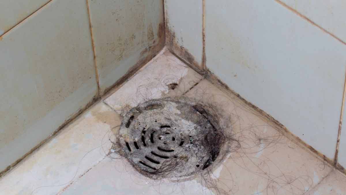 How To Keep Drains Clean And Fresh Naturally नाली Bathroom Ki Naali