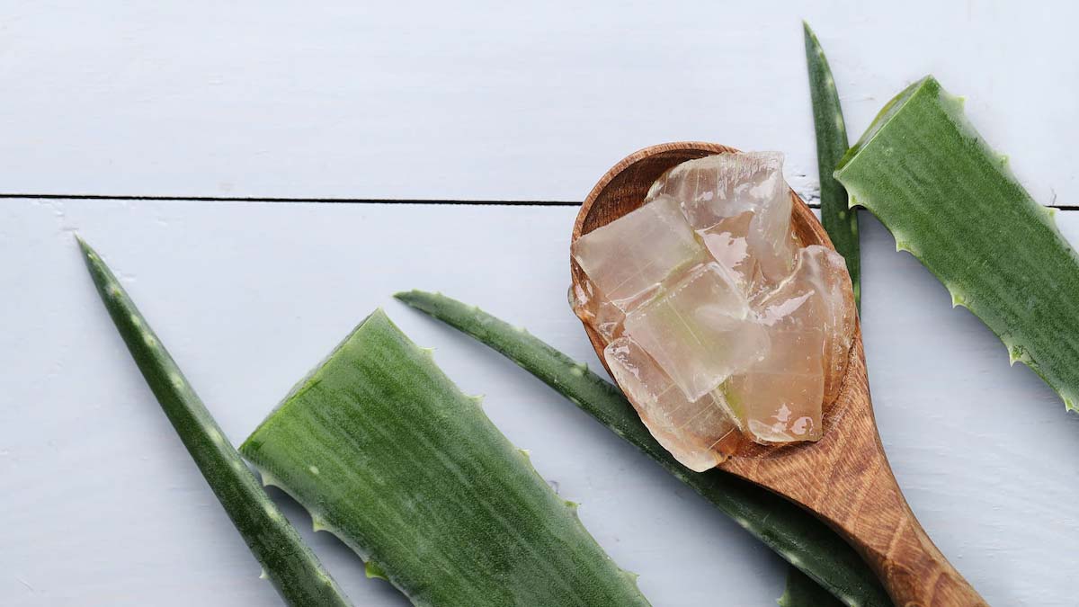 how to make aloe vera hair oil at home inside 