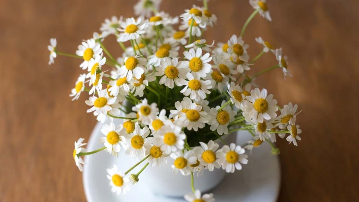 how to make hair color at home