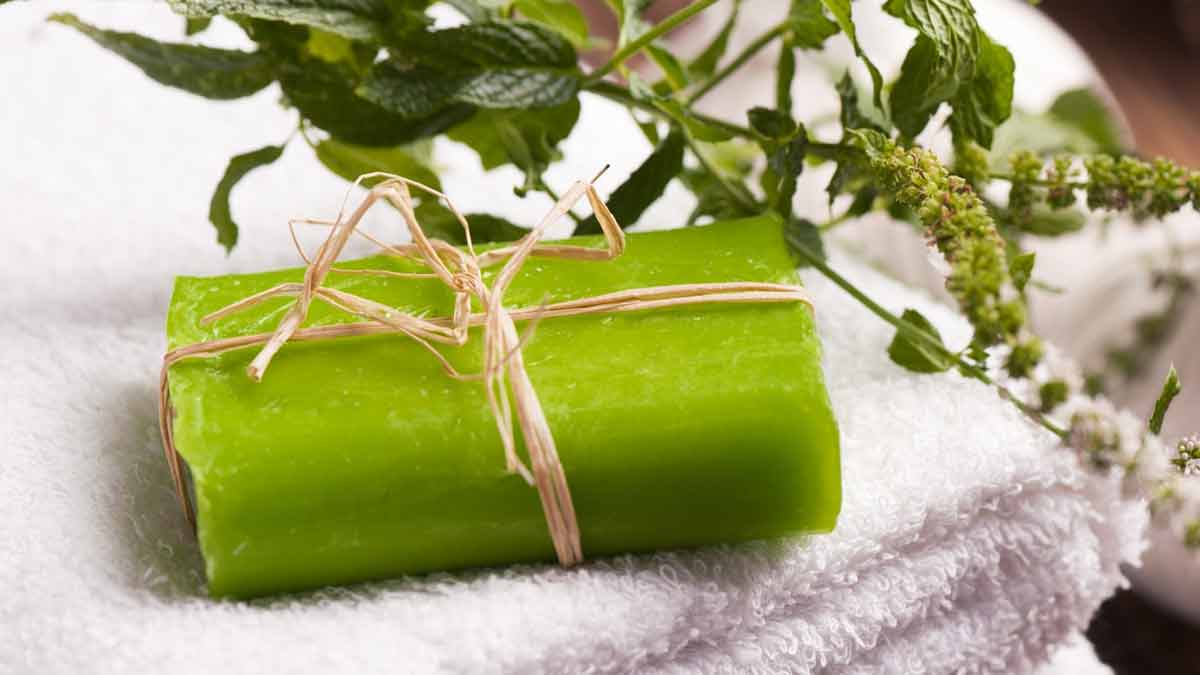 how to make homemade mint leaves soap at home