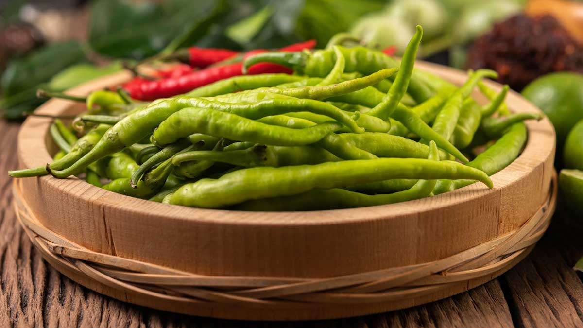 how to use green chilli and its side effects