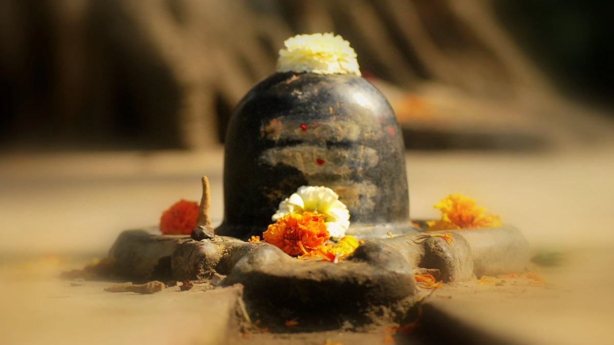 jaldhari haldi pujan