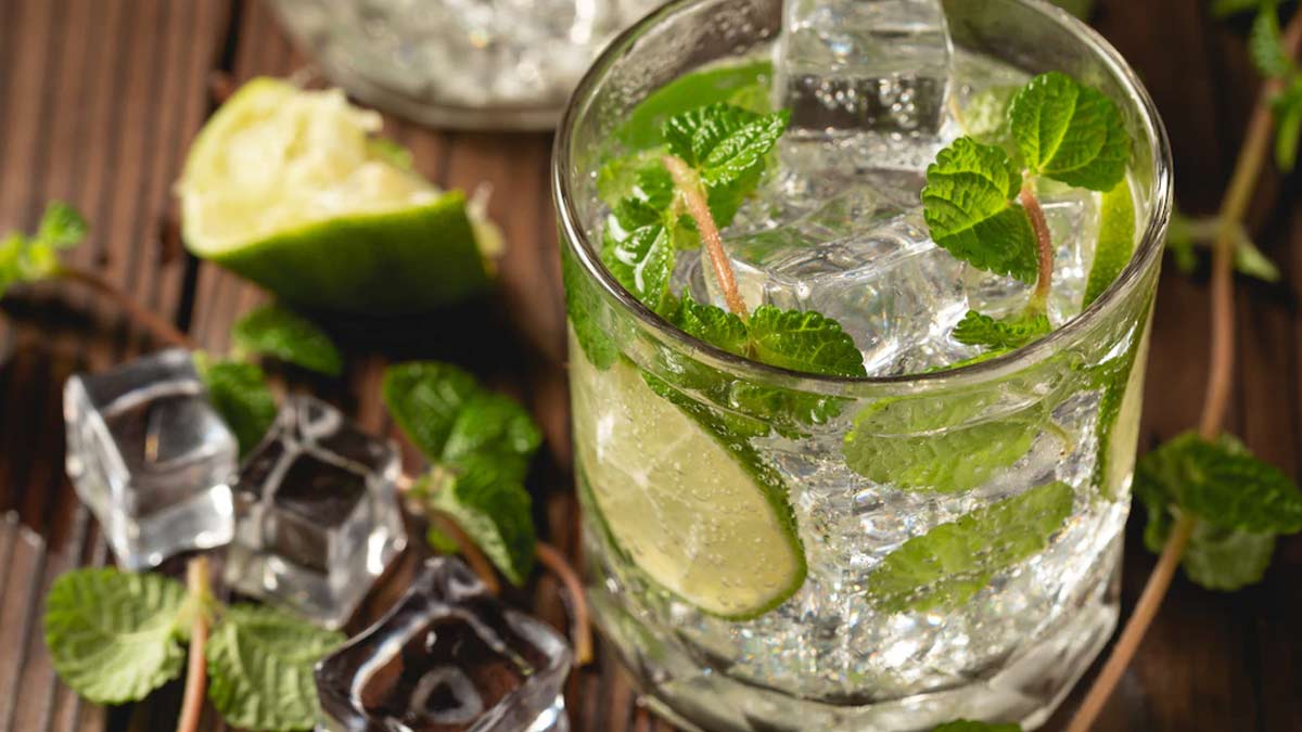mint mojito recipes