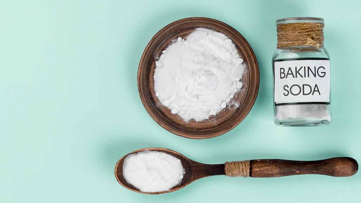 How To Remove Mold From Bathroom Ceiling फफूंदी क्लीनिंग 5 Minute