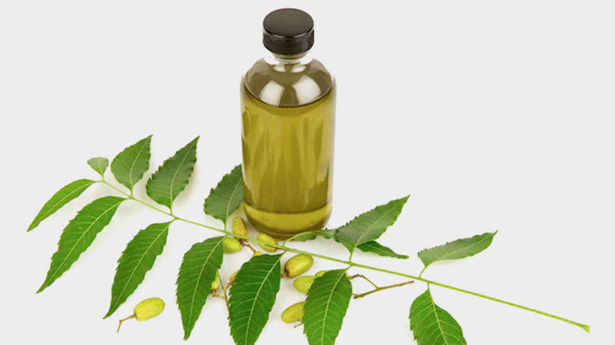 neem oil for fungus