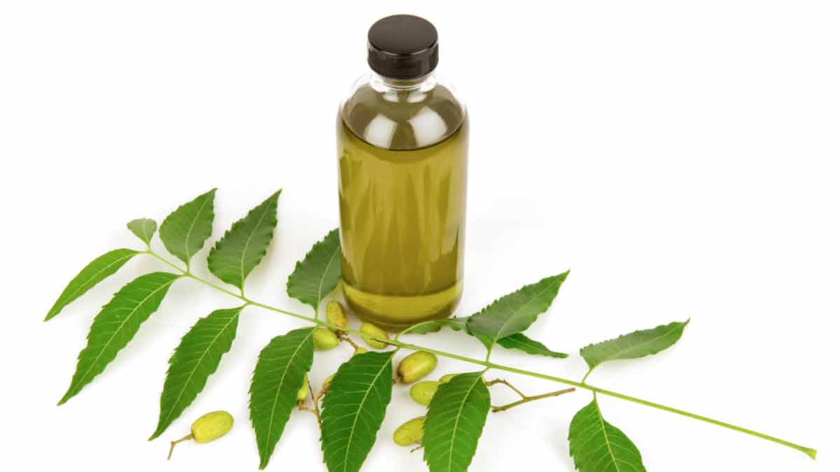 neem oil spray