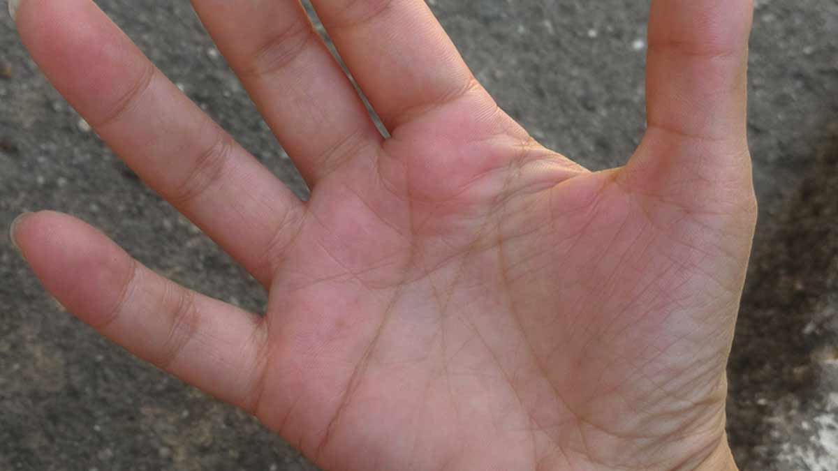 palms palmistry M on hands