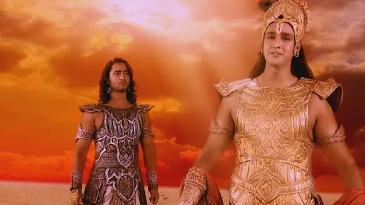 partha and krishna
