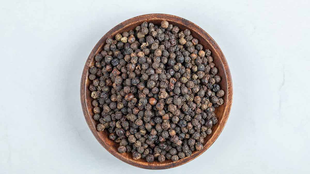 pepper spray for lizard