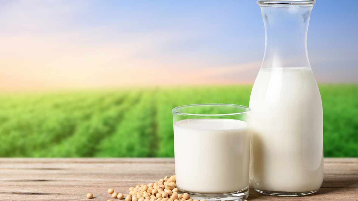 soy  milk  vs  almond  milk