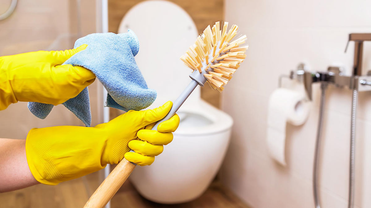 toilet cleaning hacks for home