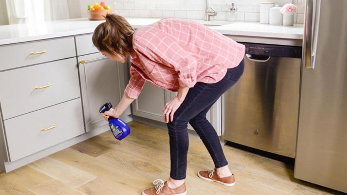 uses of mint leaves Inside 