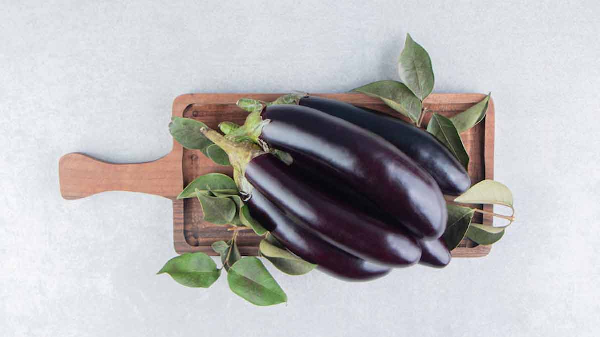 बैंगन का पौधा vegetables to grow in summer brinjel inside