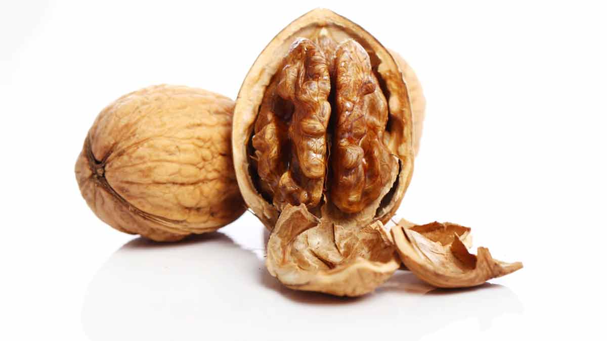 walnut shell uses at home