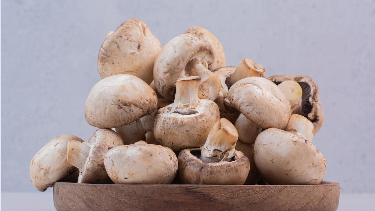 मशरूम की खेती कैसे करें| Mushroom Ki Kheti Kaise Karen| Mushroom Gardening  Tips | how to grow mushroom at home | HerZindagi