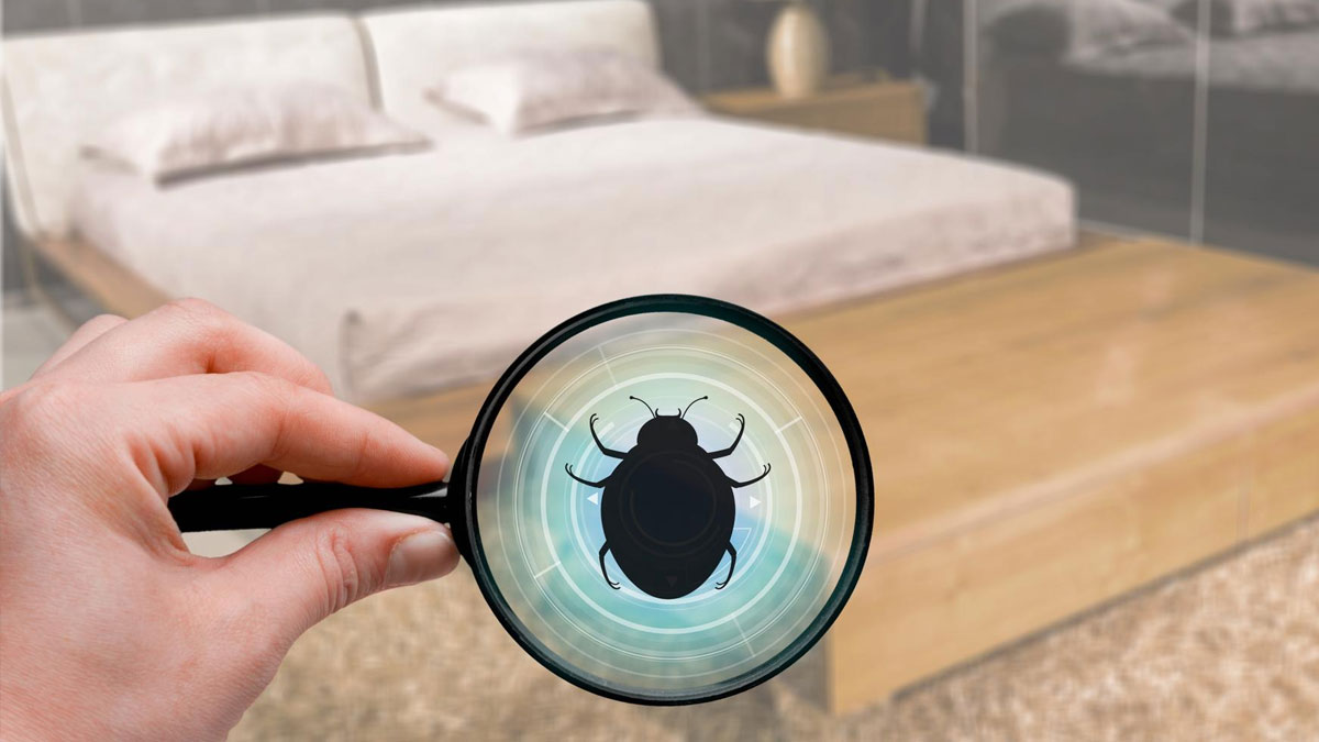 Bed Bug At Hotel खटमलों की जांच कैसे करें Bed Bugs Ko Kaise Bhagaye