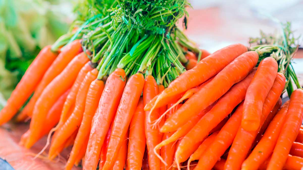 How to buy perfect carrot in hindi