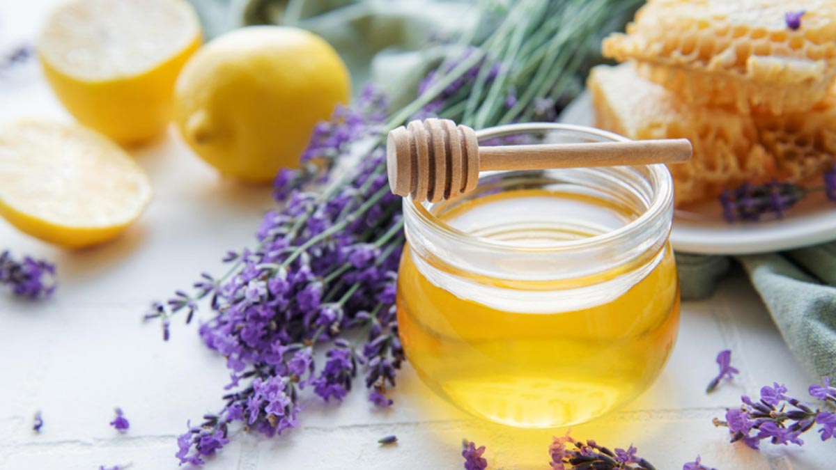 Honey Ants चींटियां होने के कारण Shahad Ko Chitiyo Se Kaise Bachaye