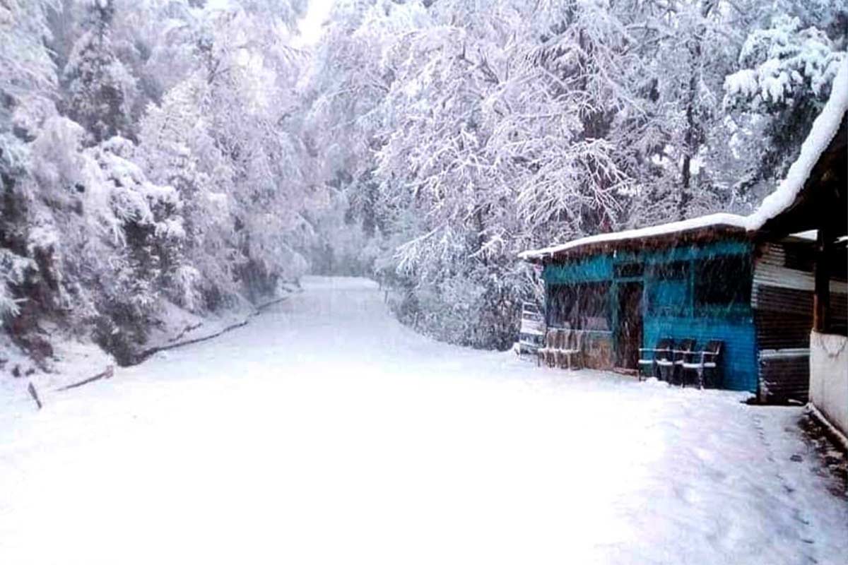 Snowfall in Uttarakhand | Best Snowfall Places In Uttarakhand | उत् ...