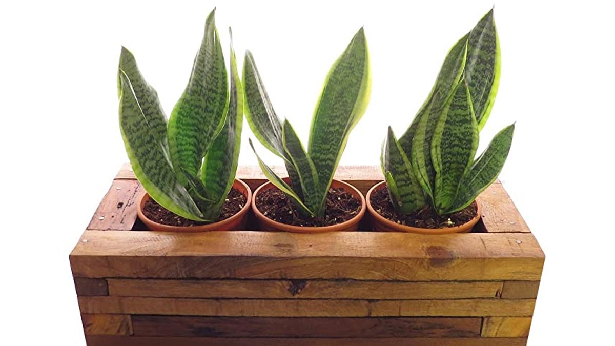 Make planter cover from  wood