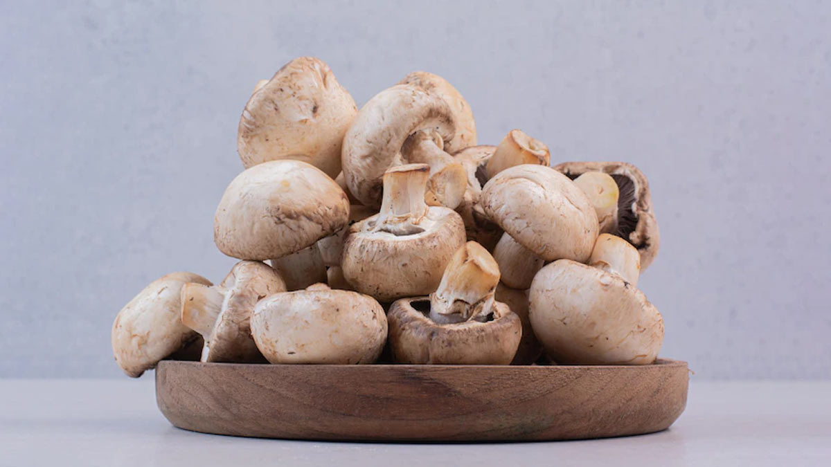 Should You Eat Mushroom During Pregnancy Or Not प्रेग्नेंसी में मशरूम