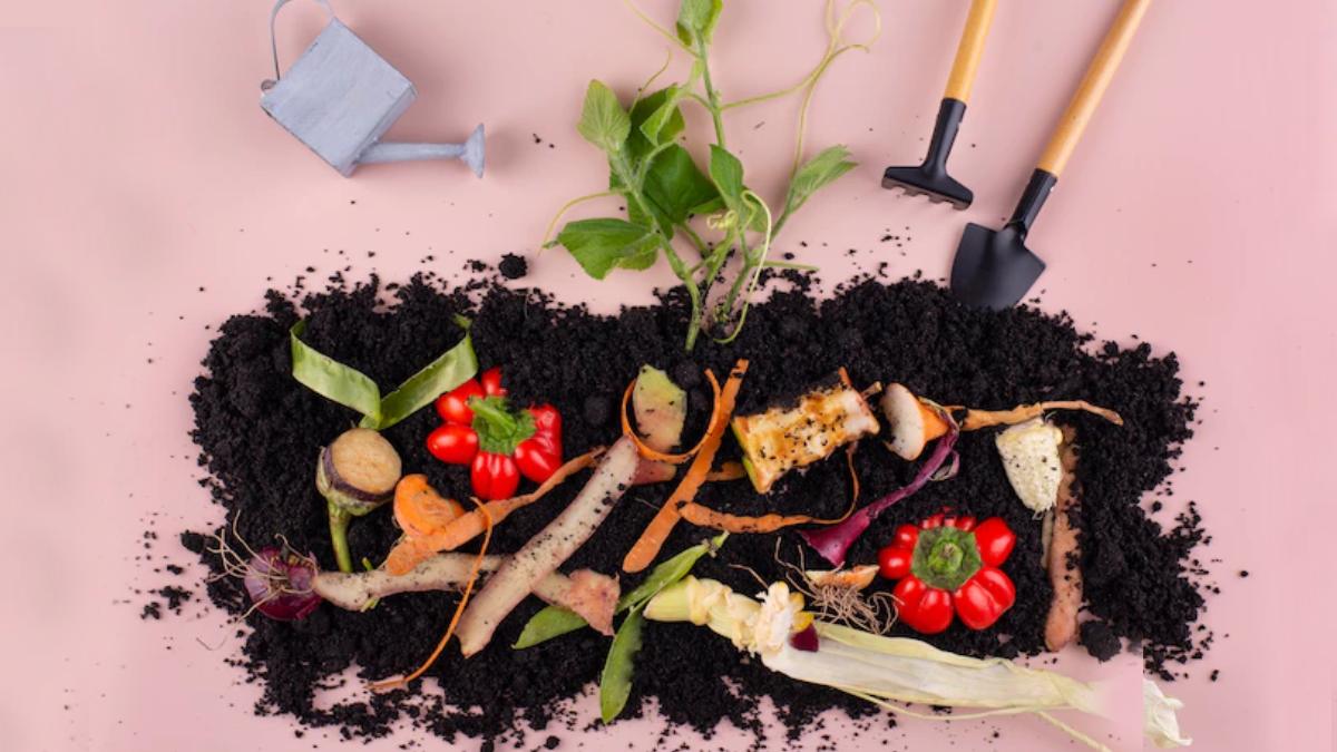 Use curd as a compost