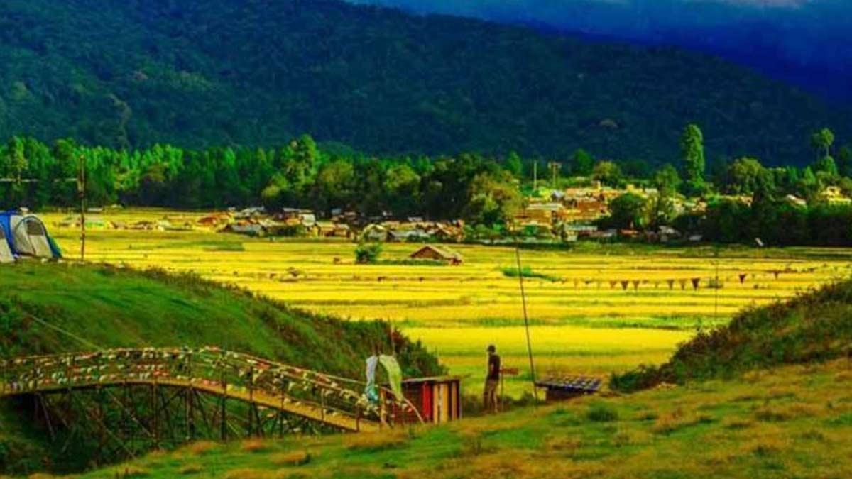 Ziro Valley