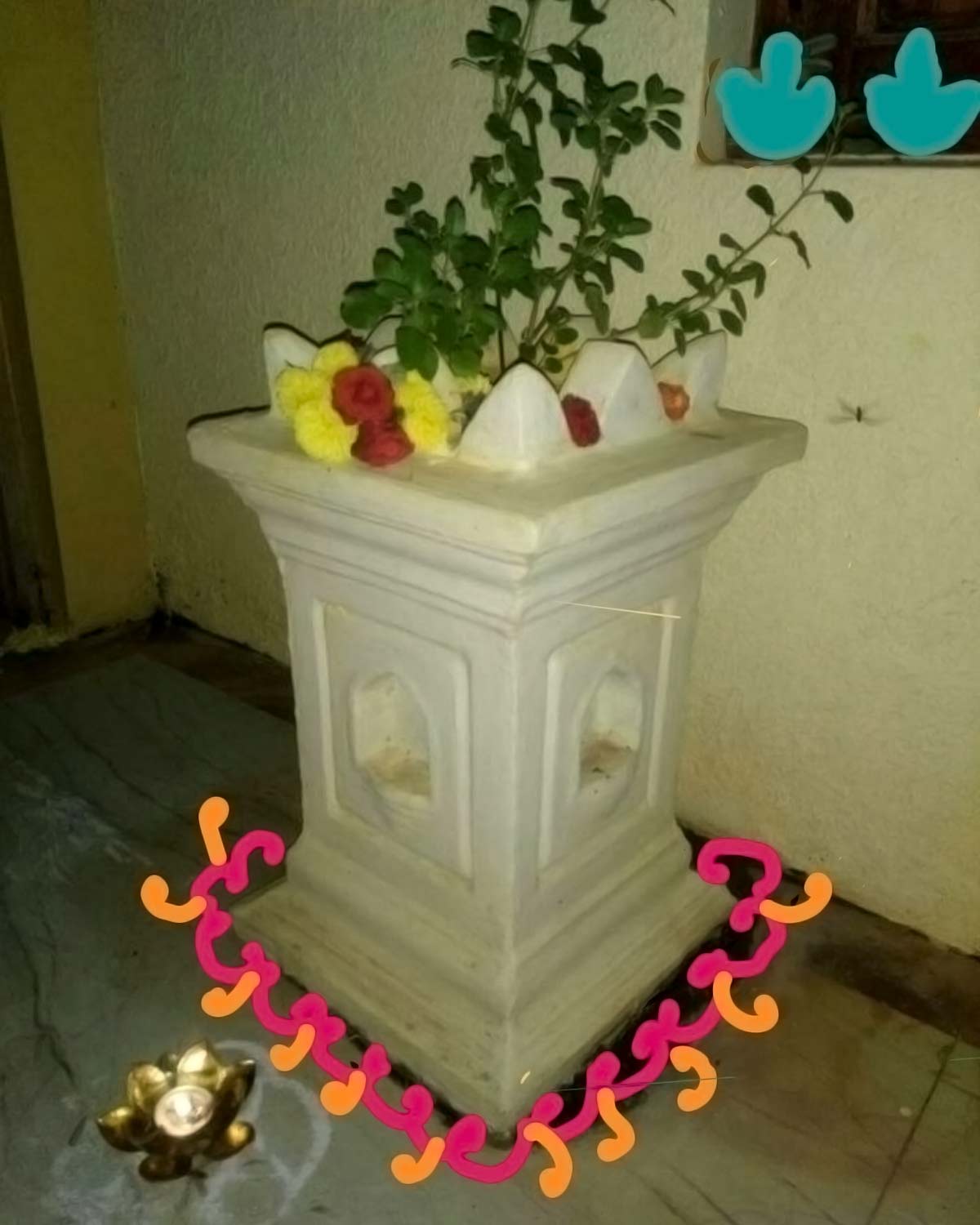 Basil Pot तुलसी का पौधा Basil Ka Pot signs on basil pot can make you rich overnight