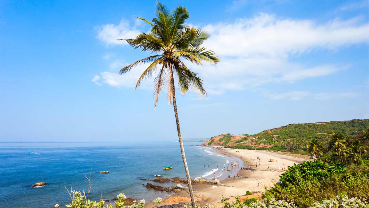 beach wedding destination