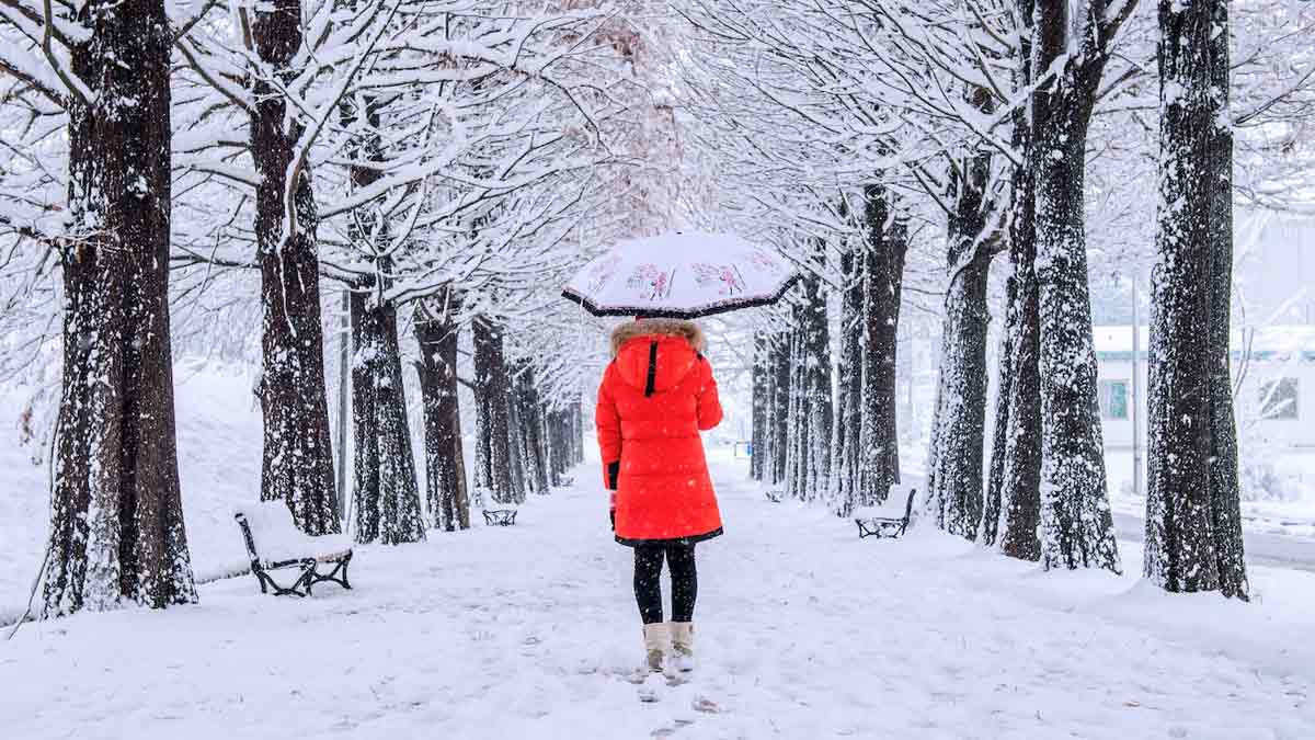 Snowfall Places in Himachal Pradesh | Best Hill Stations in Himachal Pradesh | Snowfall Destinations in Himachal Pradesh | best snow tourist places in himachal pradesh | HerZindagi