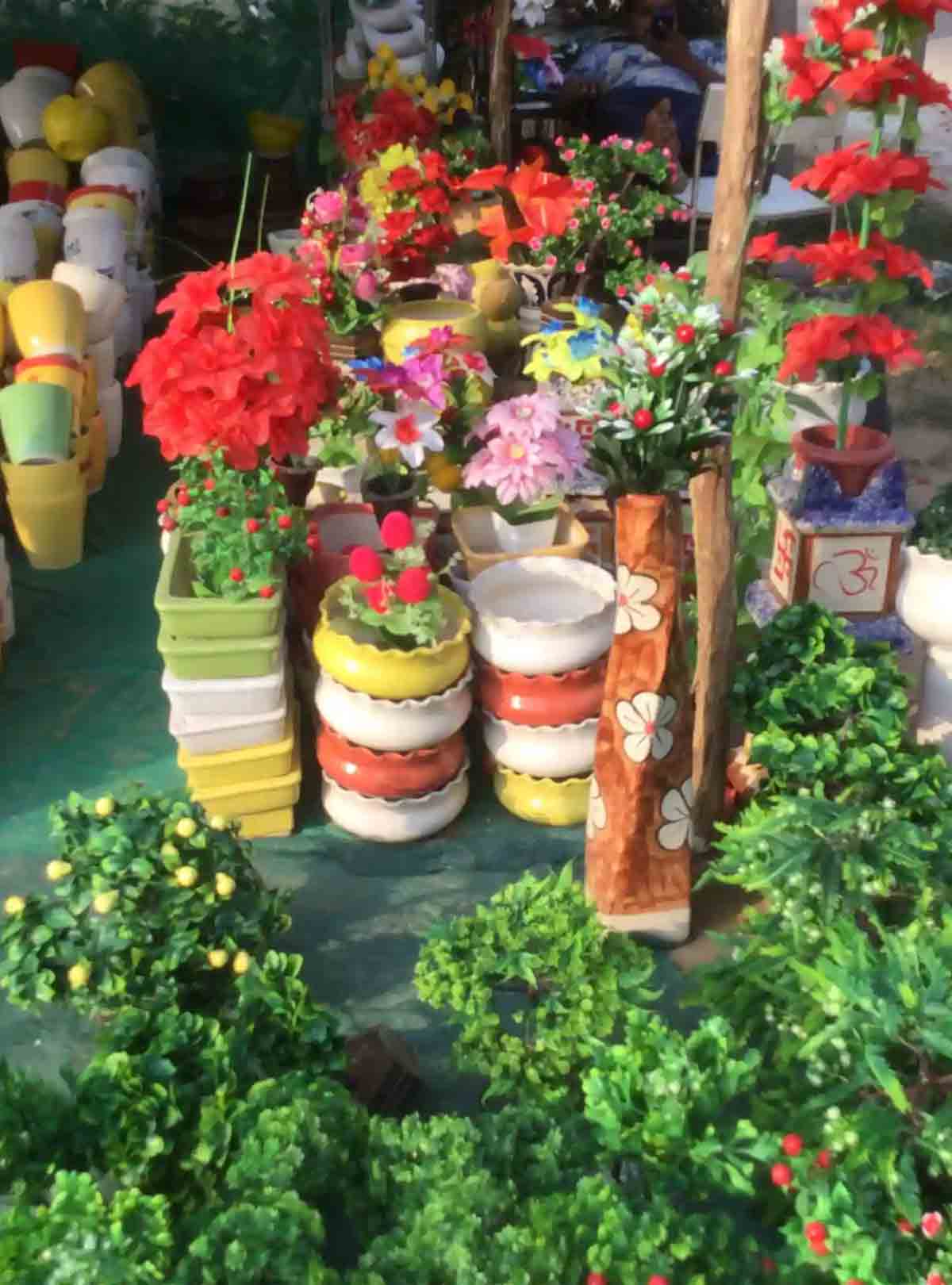 buy flower pot from lajpat nagar market