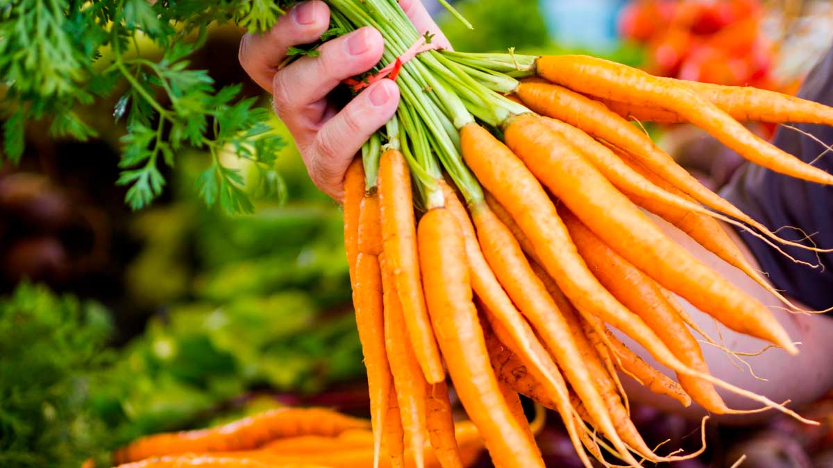 carrot buying tips ()