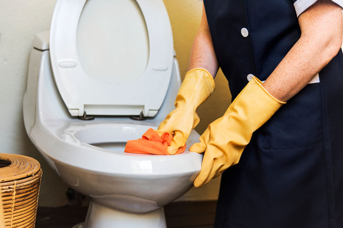 टॉयलेट बाउल की सफाई cleaning toilet bowl with bleach