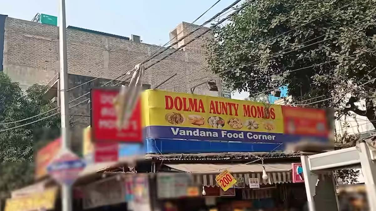 dolma aunty momos