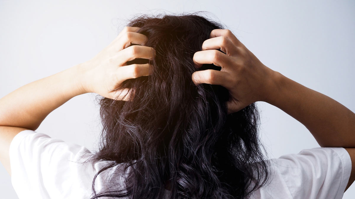 dry hair treatment by expert